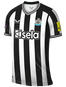 Plays for Newcastle